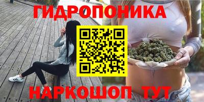 крисы Сафоново