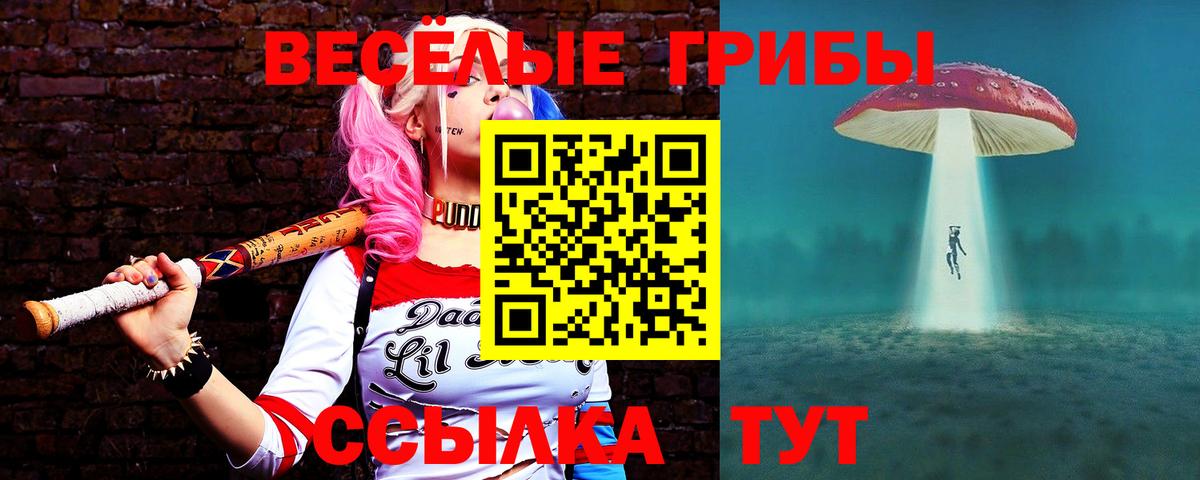 Псилоцибиновые грибы Cubensis  Вход с VPN  где продают наркотики  Ейск 